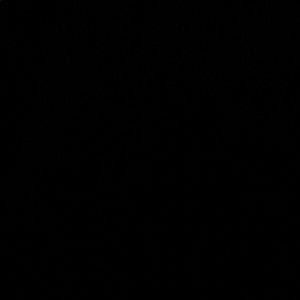 Meet your Posher, Presley